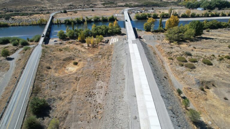 Ruta Nacional 40 en la zona de La Rinconada, paisaje típico de la región con presencia de fauna.