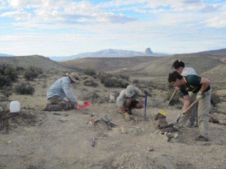Recreación artística del dinosaurio Bicharracosaurus dionidei en el paisaje de la meseta chubutense.
