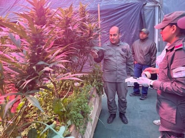 Efectivos de Gendarmería Nacional durante el operativo de incautación de droga en Bariloche