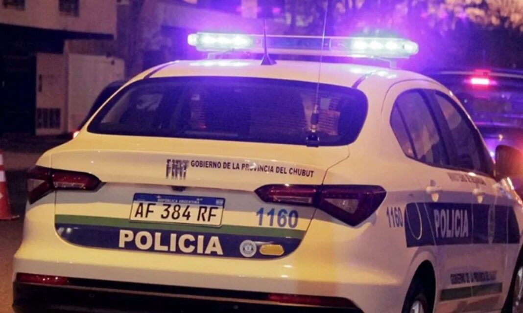 Gata muerta envuelta en un trapo encontrada en un gallinero