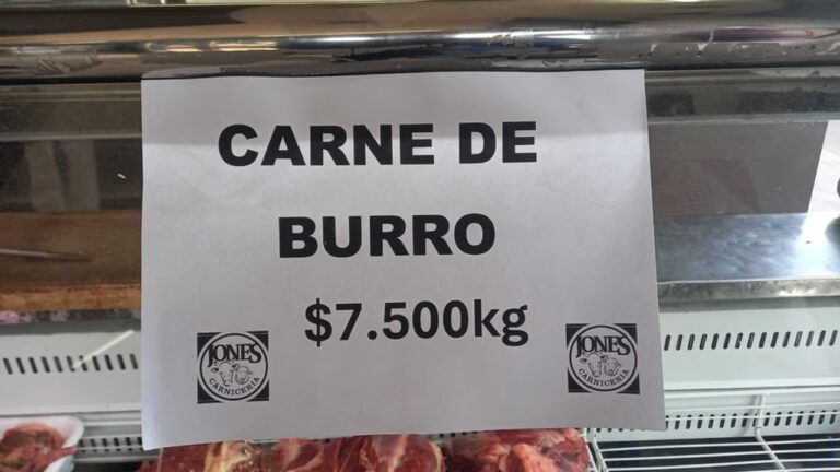 Carnicería en Trelew donde se realizó degustación de carne de burro