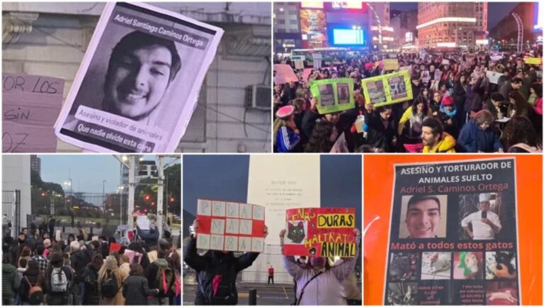 Manifestación en el Obelisco con carteles en reclamo de justicia por gatos asesinados