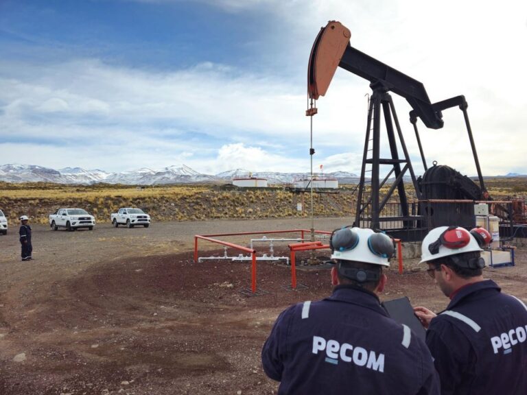 Yacimiento Manantiales Behr operado por PECOM