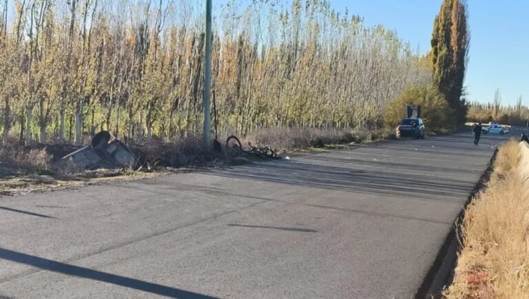 Vista de la Ruta Nacional 22 a la altura de Fernández Oro, lugar del siniestro vial