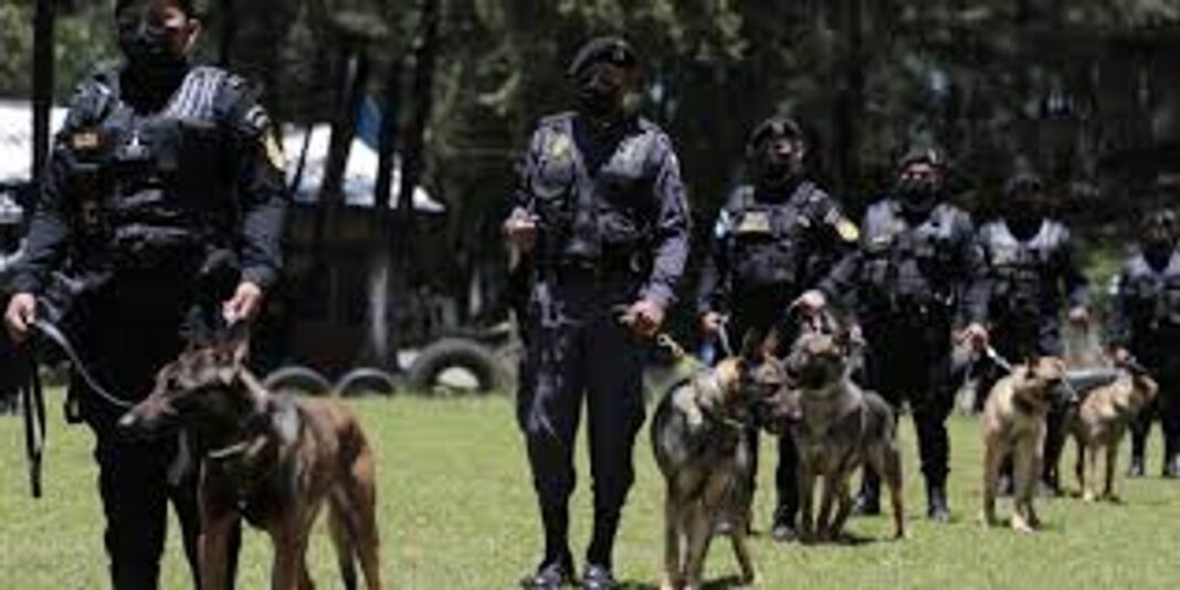 Simulacro de la División Canes en Comodoro