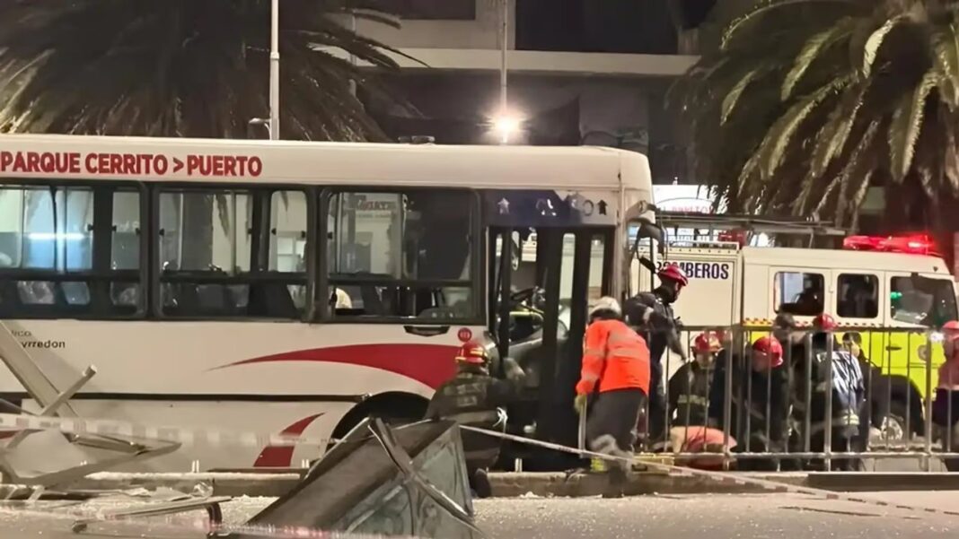 Colectivo de la línea 532 involucrado en accidente fatal en Mar del Plata