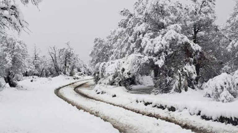 Alerta amarilla por nevadas en Chubut