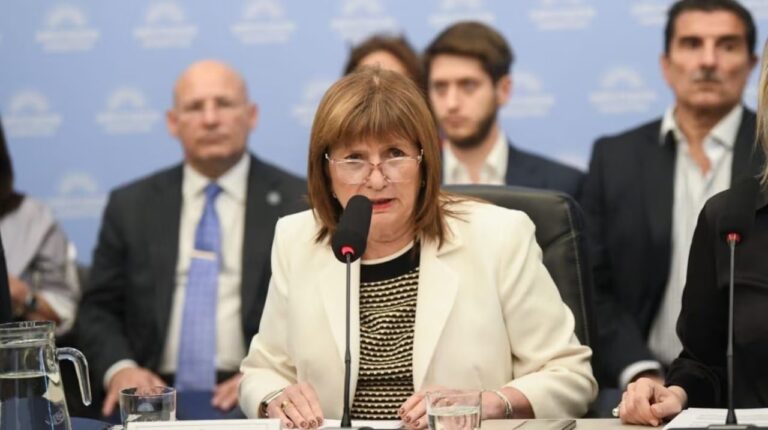 Patricia Bullrich durante una sesión en el Senado