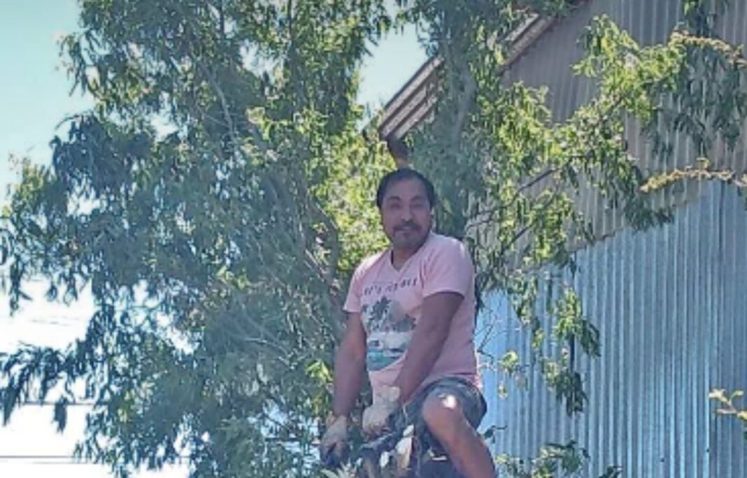 Motoniveladora en la Ruta Nacional 260