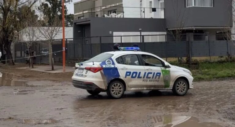 Auto abandonado en la colectora de la Ruta Nacional 22 en Fernández Oro