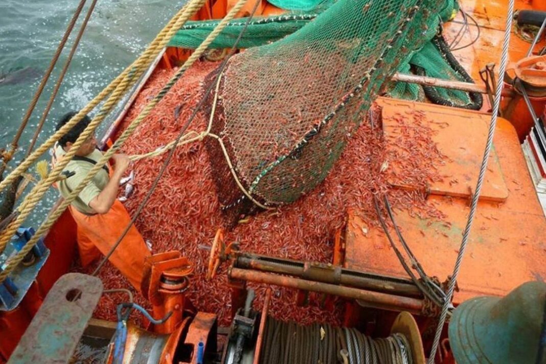 Puerto de Chubut con barcos pesqueros