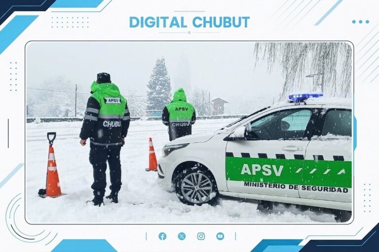 Operativo de control vehicular en ruta de Chubut