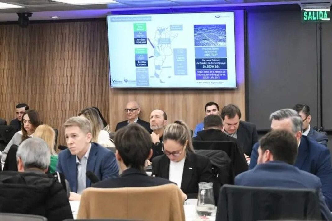 Diputados en reunión informativa sobre Vaca Muerta
