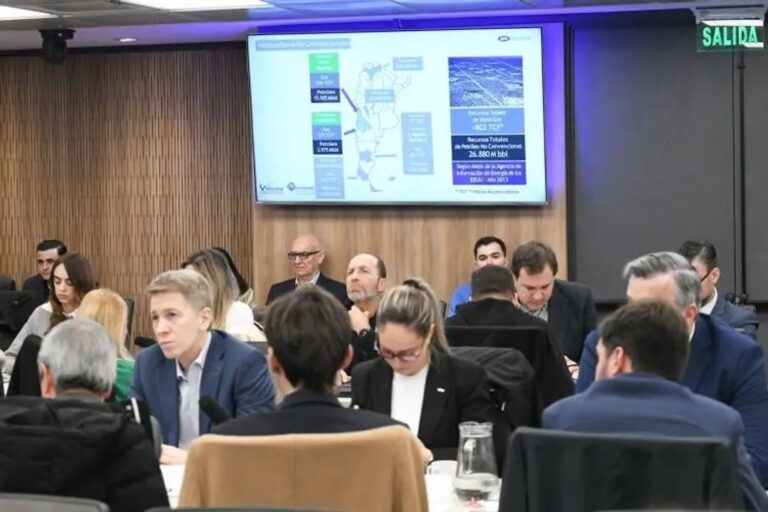 Diputados en reunión informativa sobre Vaca Muerta