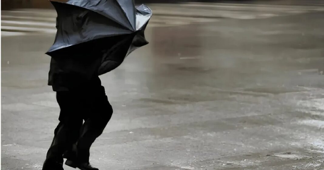 Alerta amarilla por lluvias y nevadas en Neuquén