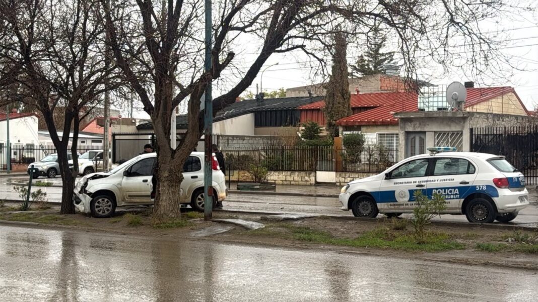 Auto con daños en la parte delantera tras chocar contra un árbol en Comodoro Rivadavia