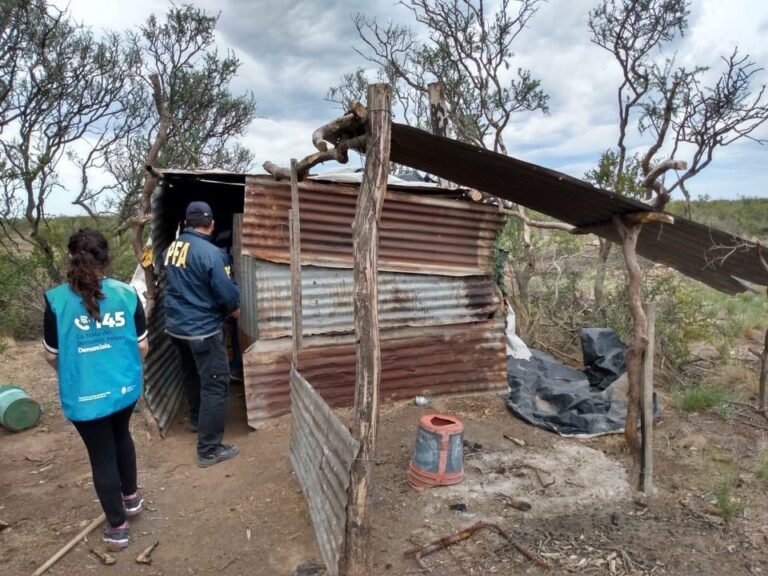 Trabajadores rurales en un establecimiento agropecuario