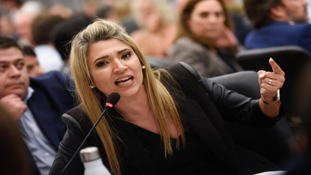 Senadora Nadia Márquez en el Senado de la Nación