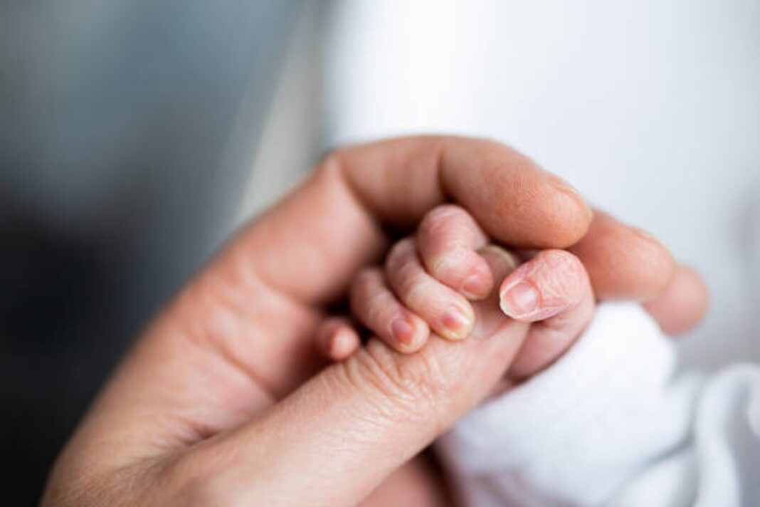 Hospital o clínica con área de neonatología en Comodoro Rivadavia