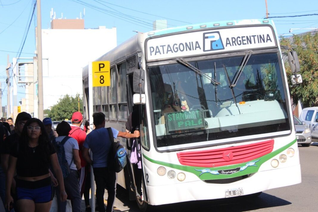Colectivos urbanos en Comodoro Rivadavia