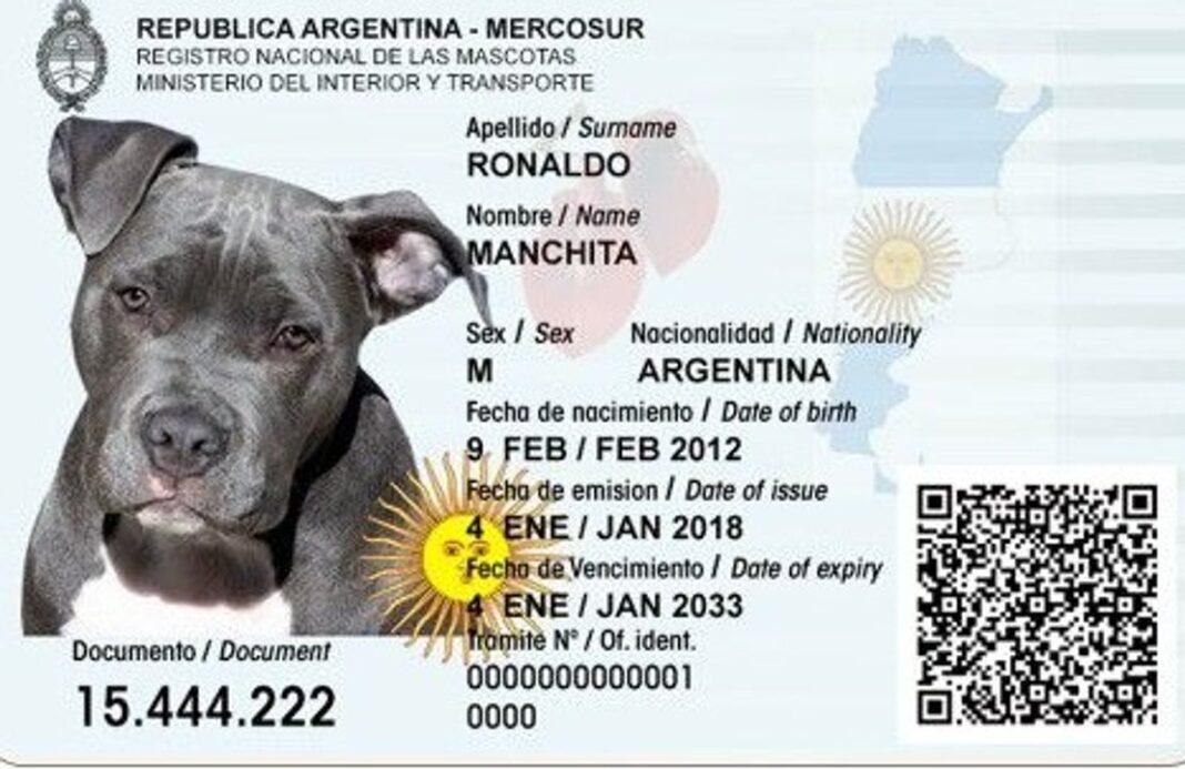 Perro y gato con documento de identidad