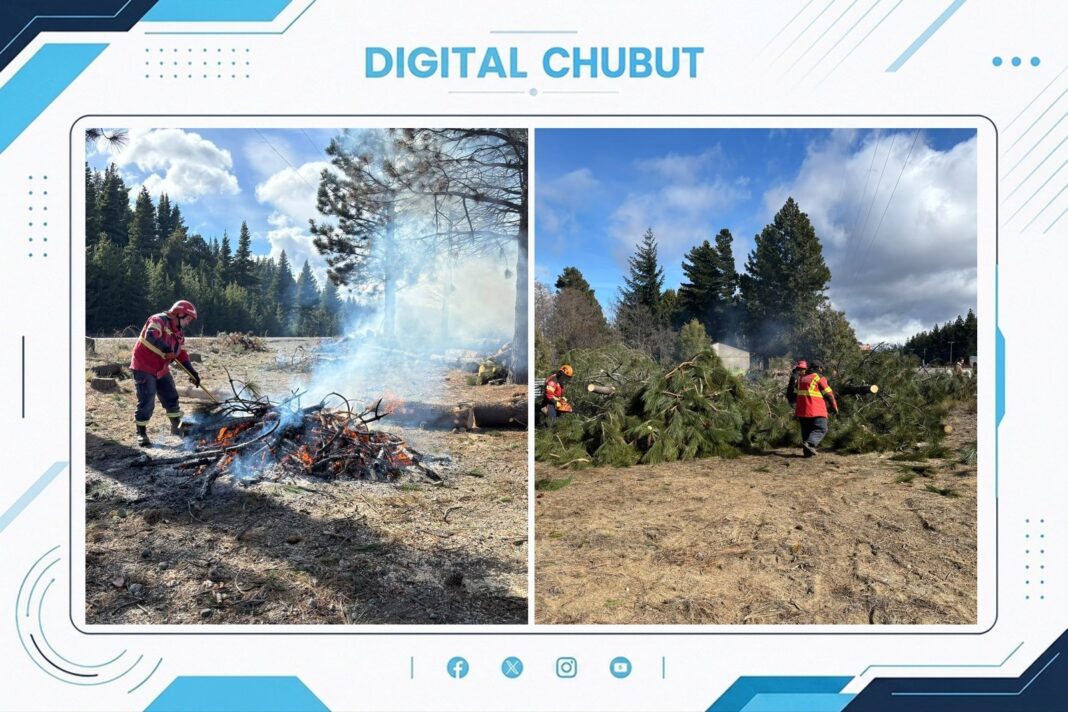 Brigadistas forestales trabajando en tareas de prevención en un bosque de Chubut