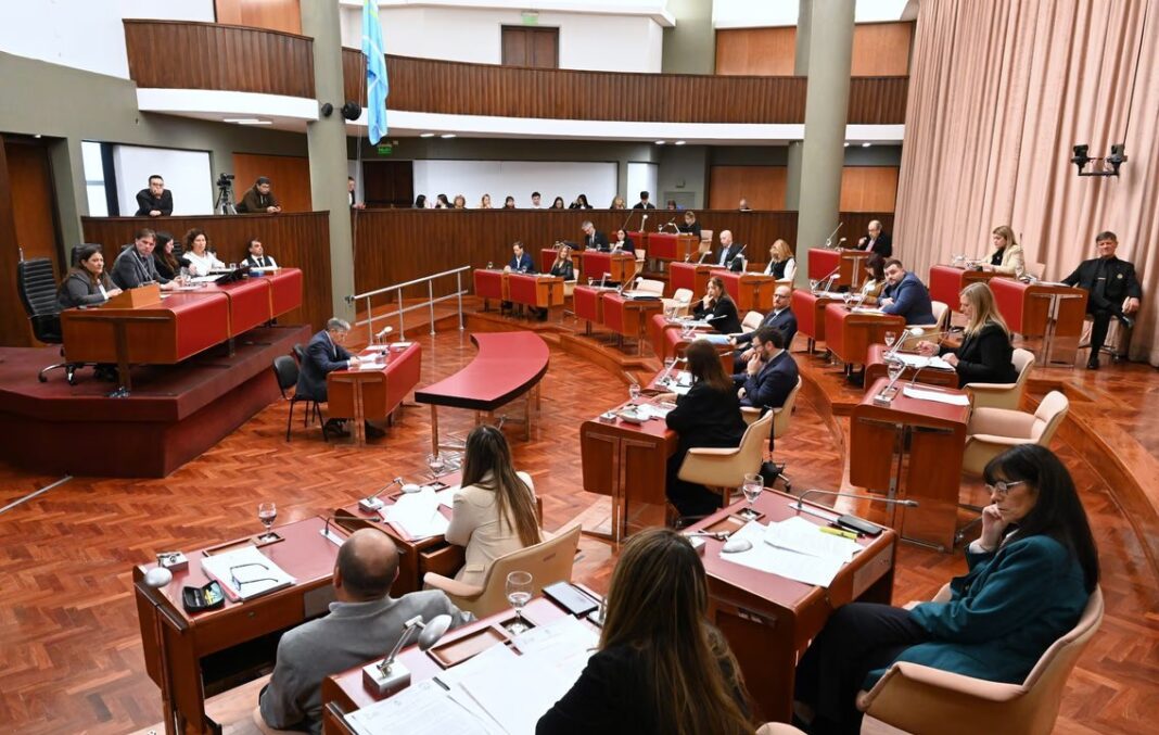 Ganado en un establecimiento rural de Chubut