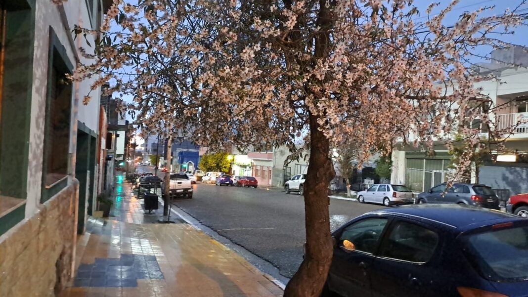 Termómetro marcando temperatura bajo cero en Comodoro Rivadavia