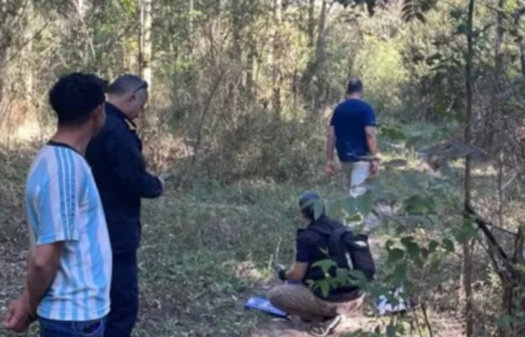 Zona de monte en Esquina, Corrientes, donde ocurrió el ataque