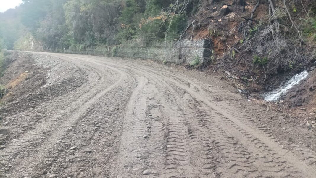 Ruta 71 en el Parque Nacional Los Alerces